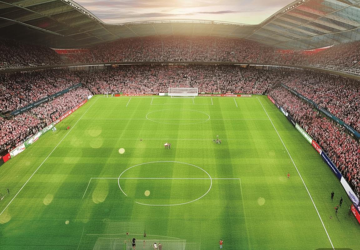 北爱尔兰VS瑞士：全面赛事攻略与深度分析(图2)